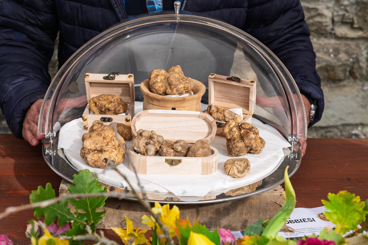 Fiera Nazionale del Tartufo di Trisobbio, 2025