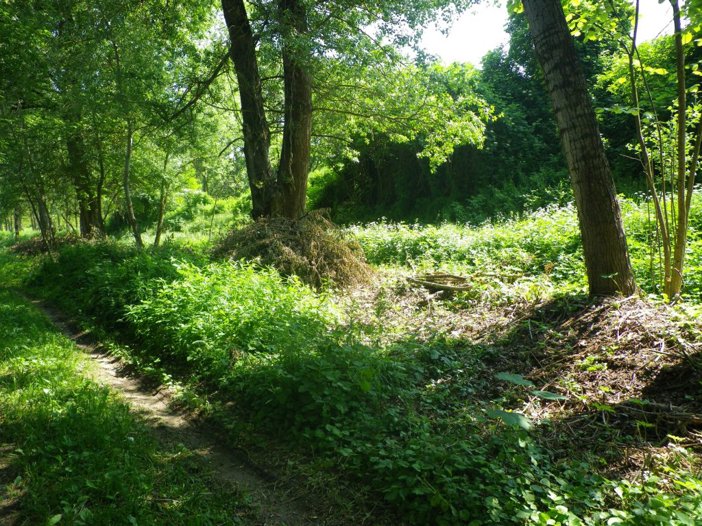 Trisobbio percorso Verde