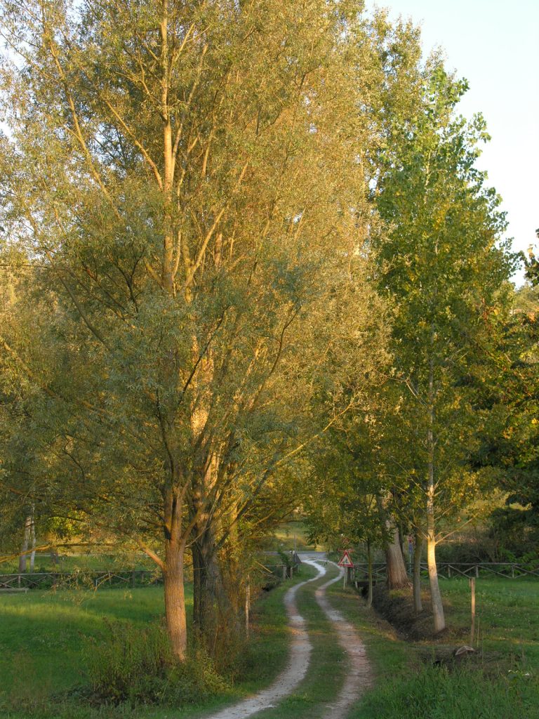 Trisobbio Percorso Verde